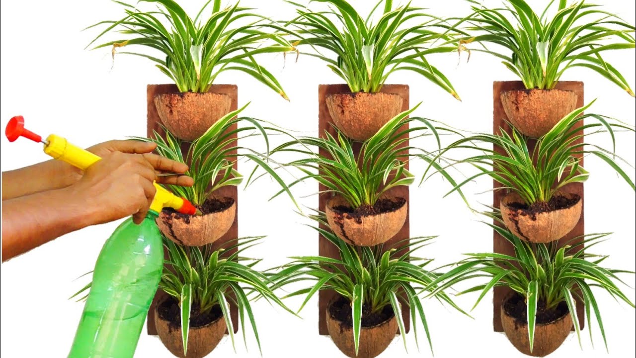 How to Make Beautiful Hanging Pot out of Coconut Shell/ Hanging Pot Ideas