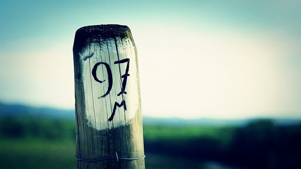 Tenuta dell’Ornellaia with Axel Heinz #033