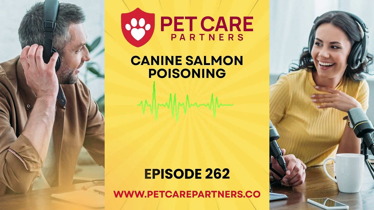EP 262: Canine Salmon Poisoning – Deadly Parasite Alert for Dogs | Pet Care Partners Podcast