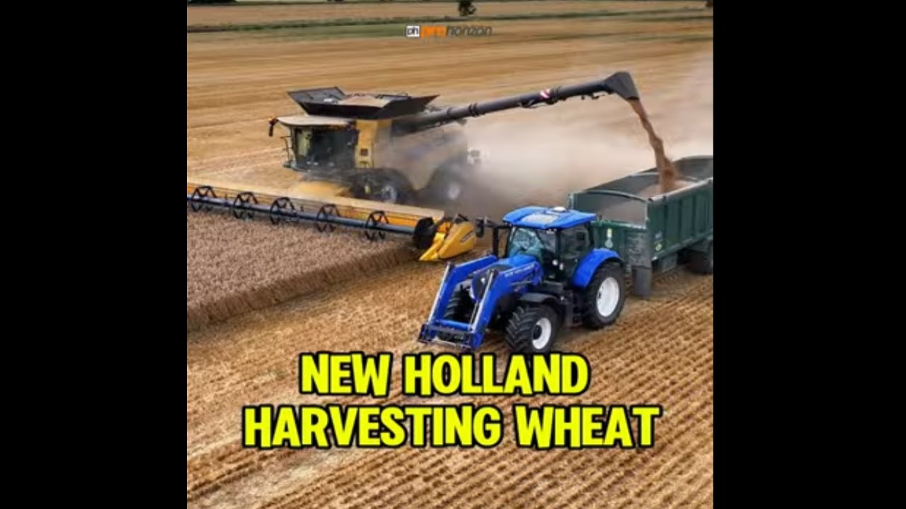 New Holland CR9.90 Combine Harvester In a Field of Wheat #Harvest2024