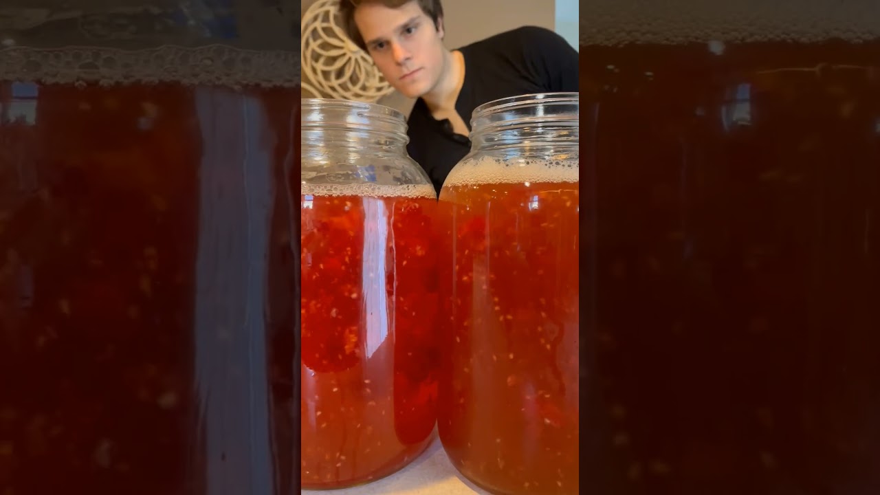$12 Cider vs. $3 Juice (How to make Raspberry Hard Cider) #howto #recipe #test #diy