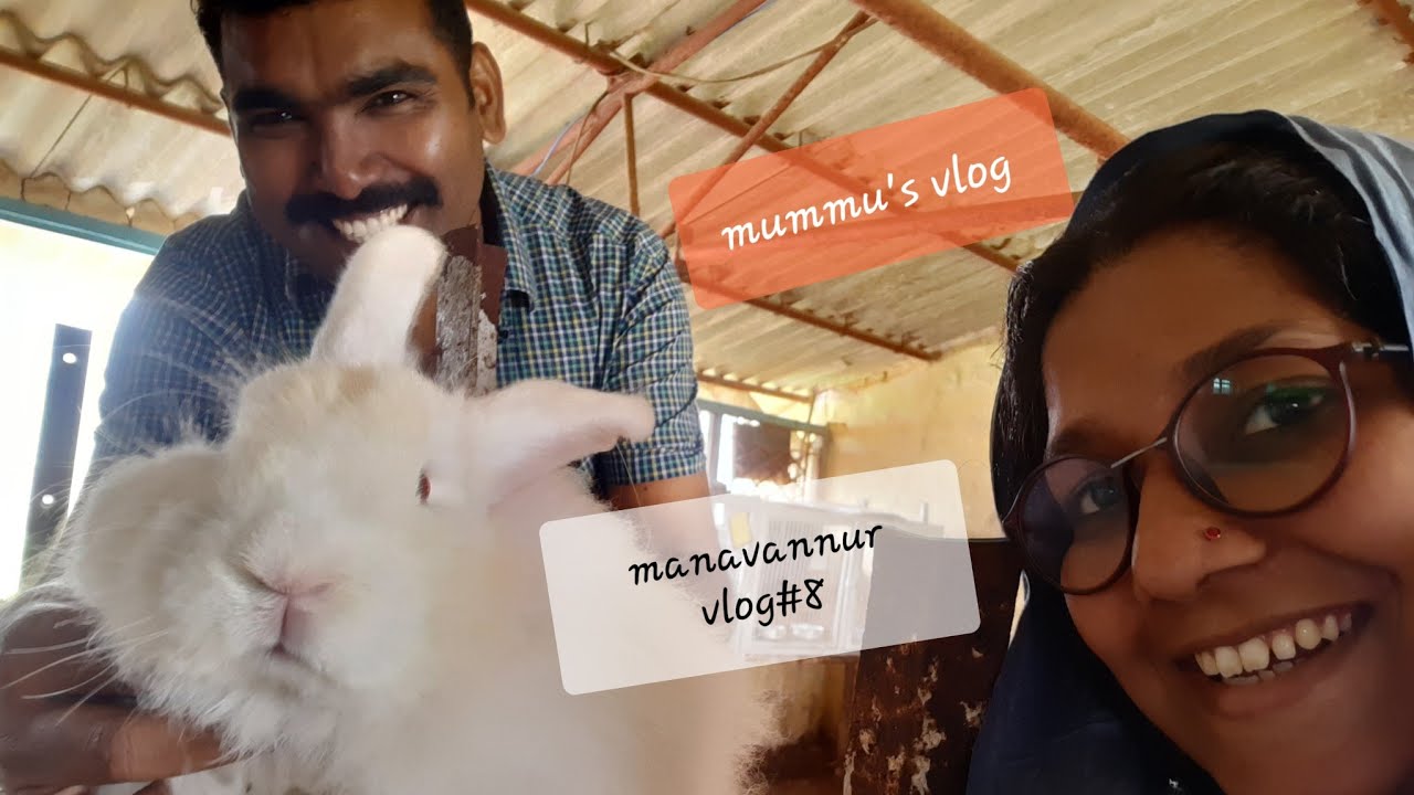 Sheep and Rabbits farm|  Research center of central government @Manavannur