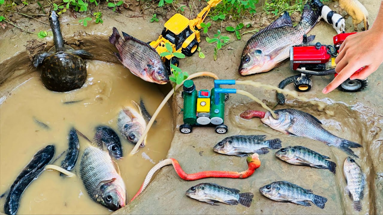 catch fish using mini water pump | fishing exciting | diy tractor