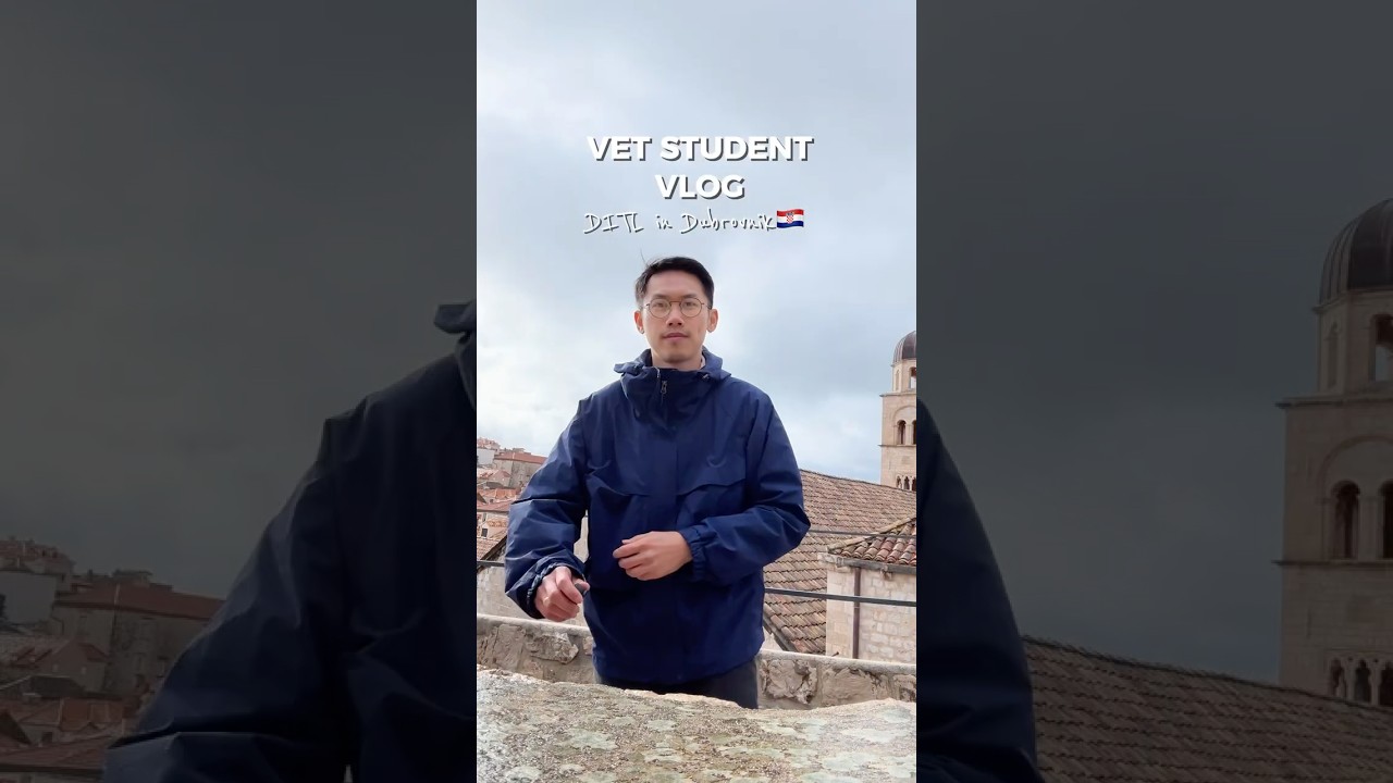 DITL in Dubrovnik | Vet Student Vlog