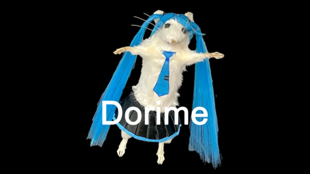 Dorime Miku