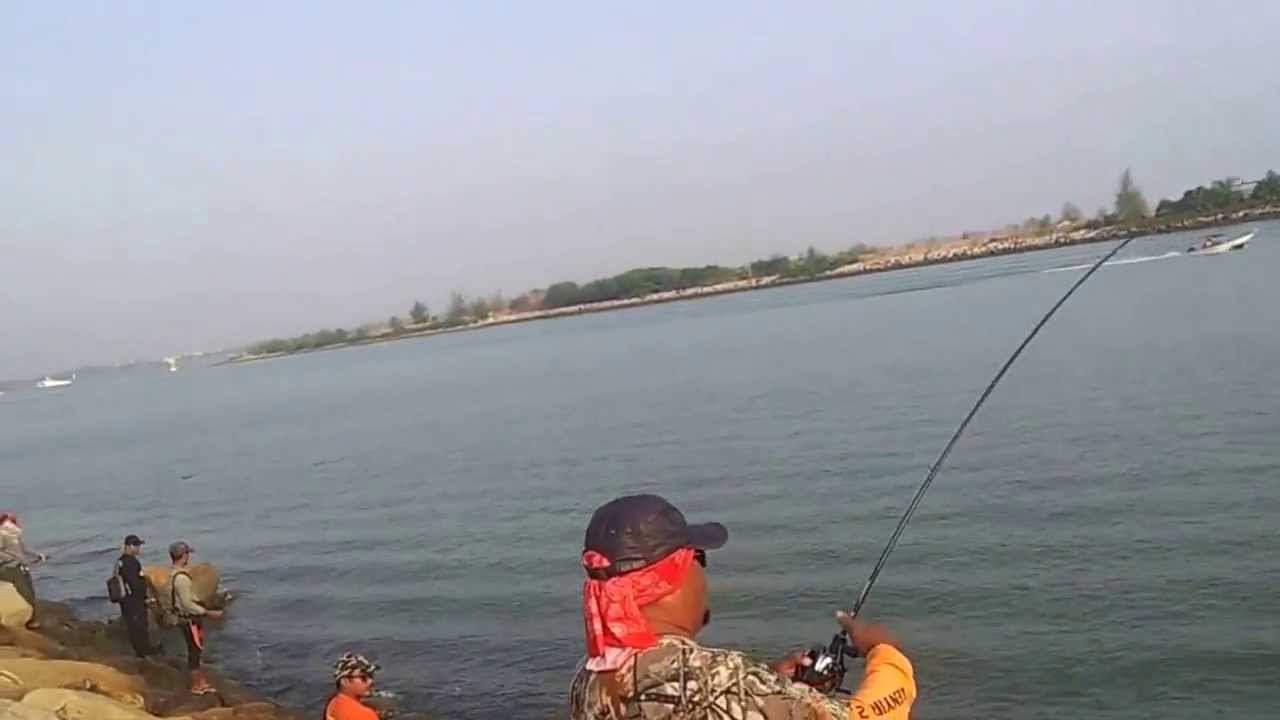 Usop VS Talang With Halco Roosta Popper~Mengcakop