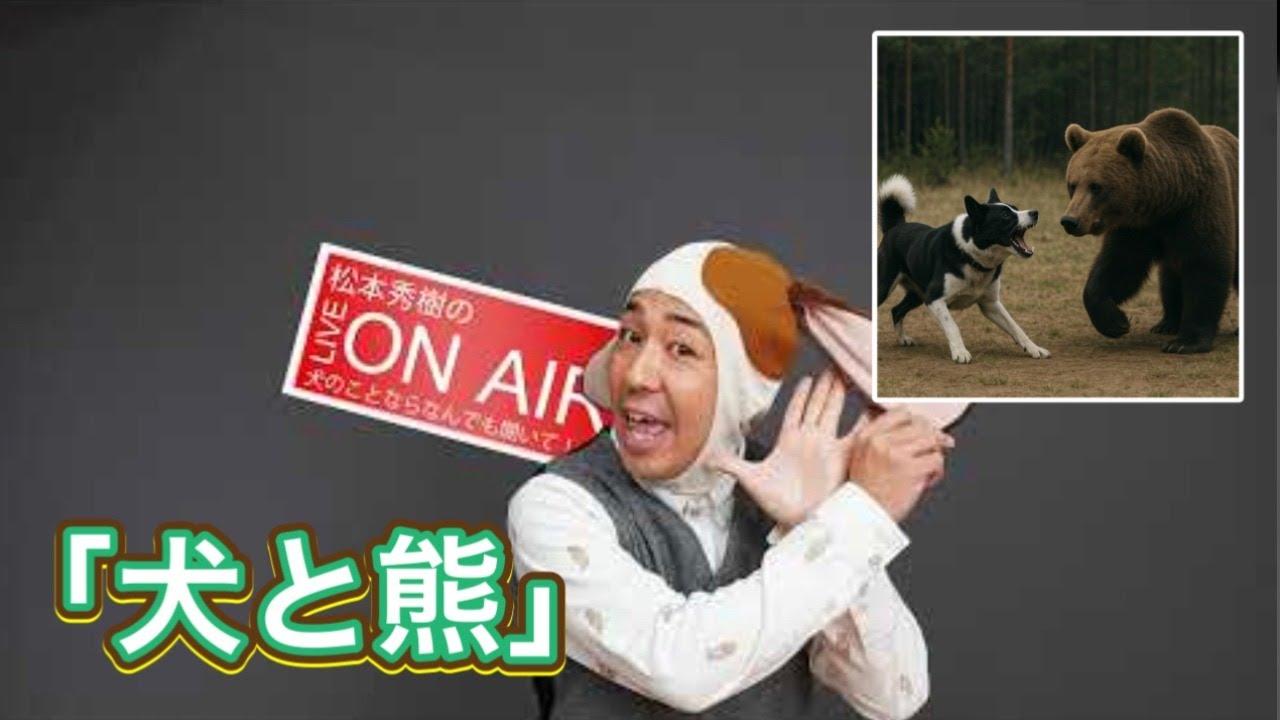 犬と熊　『松本秀樹の犬のことなら何でも聞いて！！』