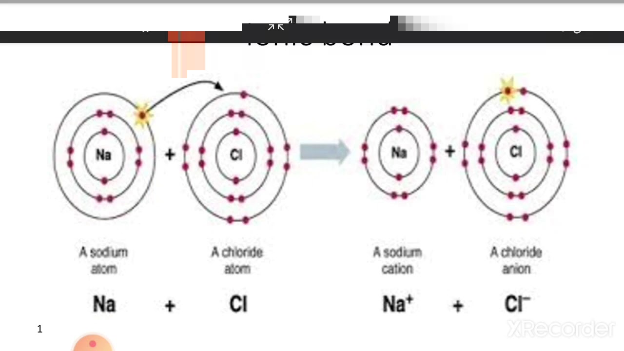 اول شابتر بيوكيم Ionic,covalent and hydrogen bond