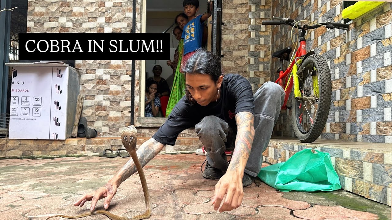 Mumbai ki Slum Mein Ghusa Cobra – Dekho Kya Hua Baad Mein!!
