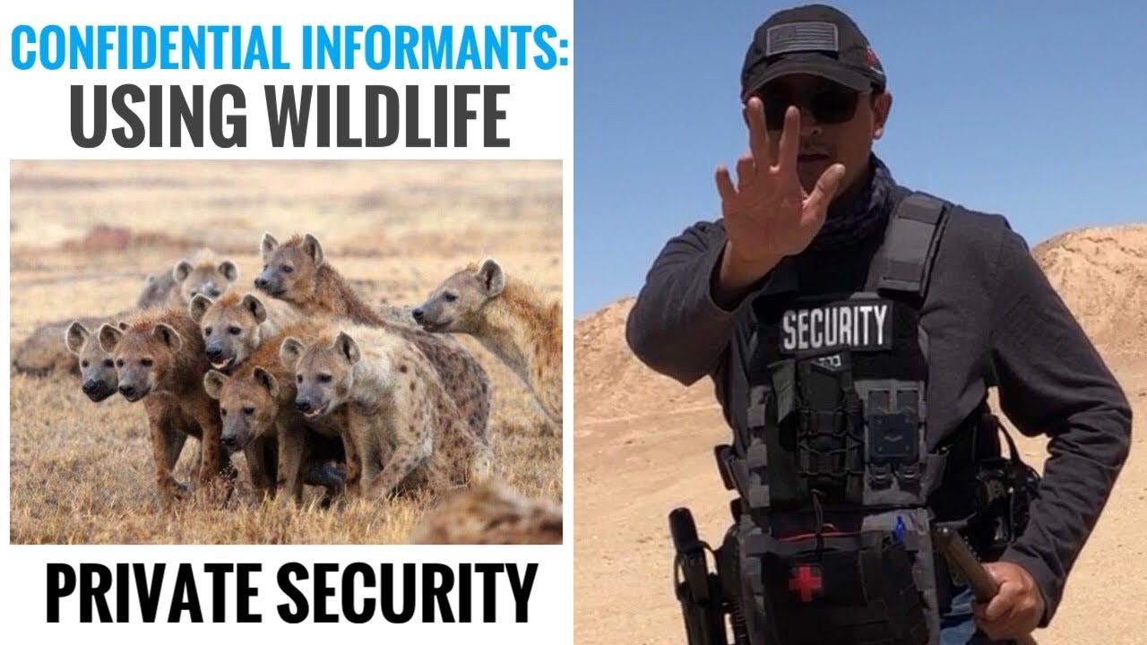 ✅ Private Security and Private Investigators: Wildlife as Confidential Informants? 🤫 🦌 🦅 🐩 🌳