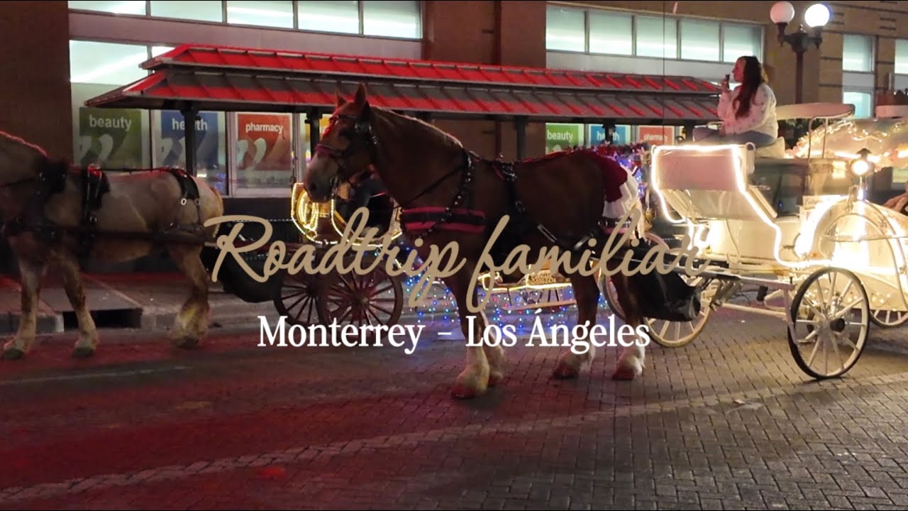 Vámonos de roadtrip con mi familia 🛣️ desde Monterrey hasta Los Ángeles ✨ Día 1 llegamos a Texas 🇺🇸