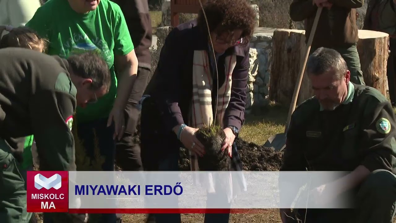 Miskolc Ma 2026. 03. 09.: Elültették Miskolc első Miyawaki-erdőjét a Szeleta Park előtt