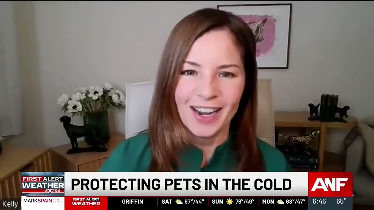 Protecting Pets in the Cold Weather (beyond booties and jackets)