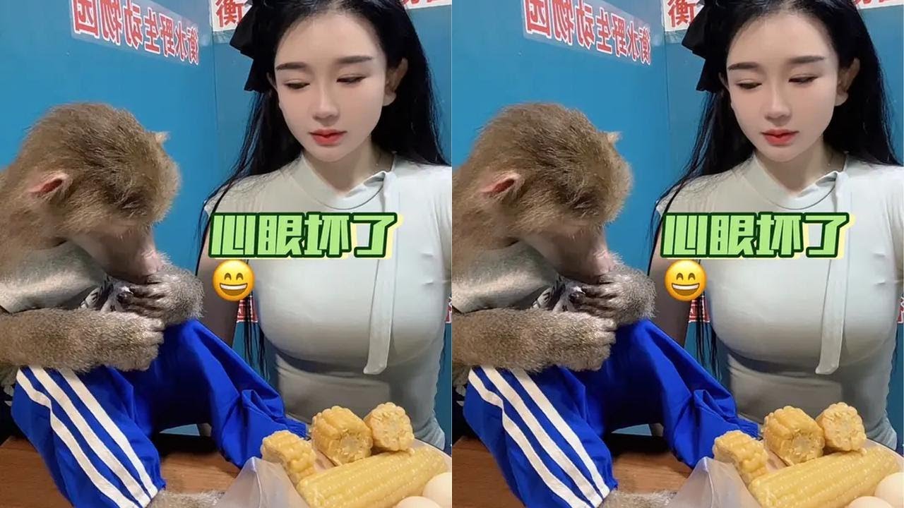 It's time to show real skills #Monkey comes to life #Mischievous pets are becoming more cunning 😄