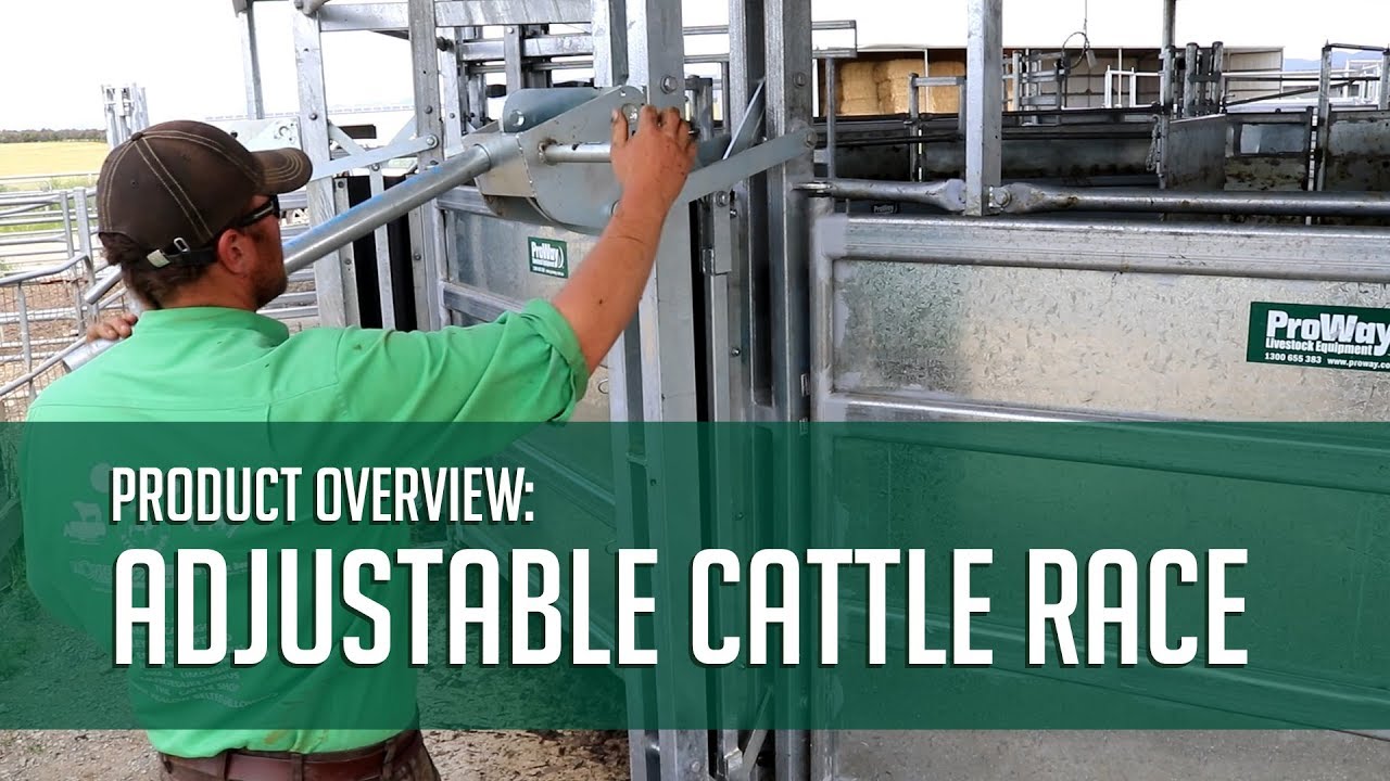 ProWay Adjustable Cattle Race