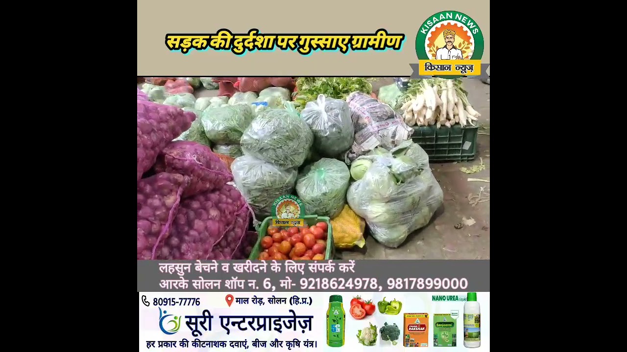 पालमपुर सब्जी मंडी हिमाचल प्रदेश से पहला लाइव अपडेट।। 13 जून 2023।।