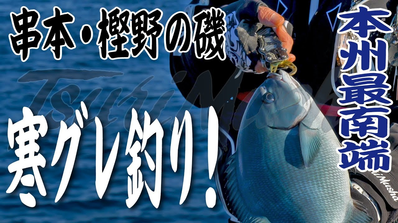 シロモッチ・本州最南端の磯で寒グレ釣り！