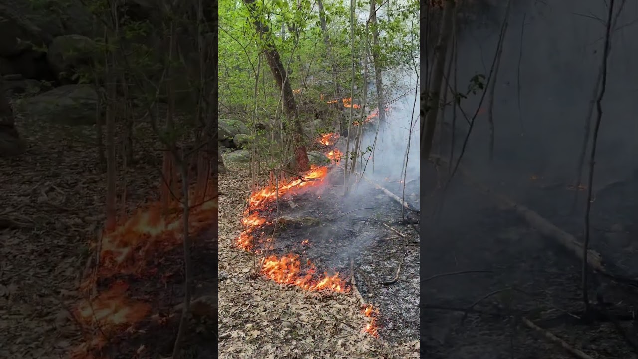 Wildfire on my MTB trail! #shorts  #sharethis