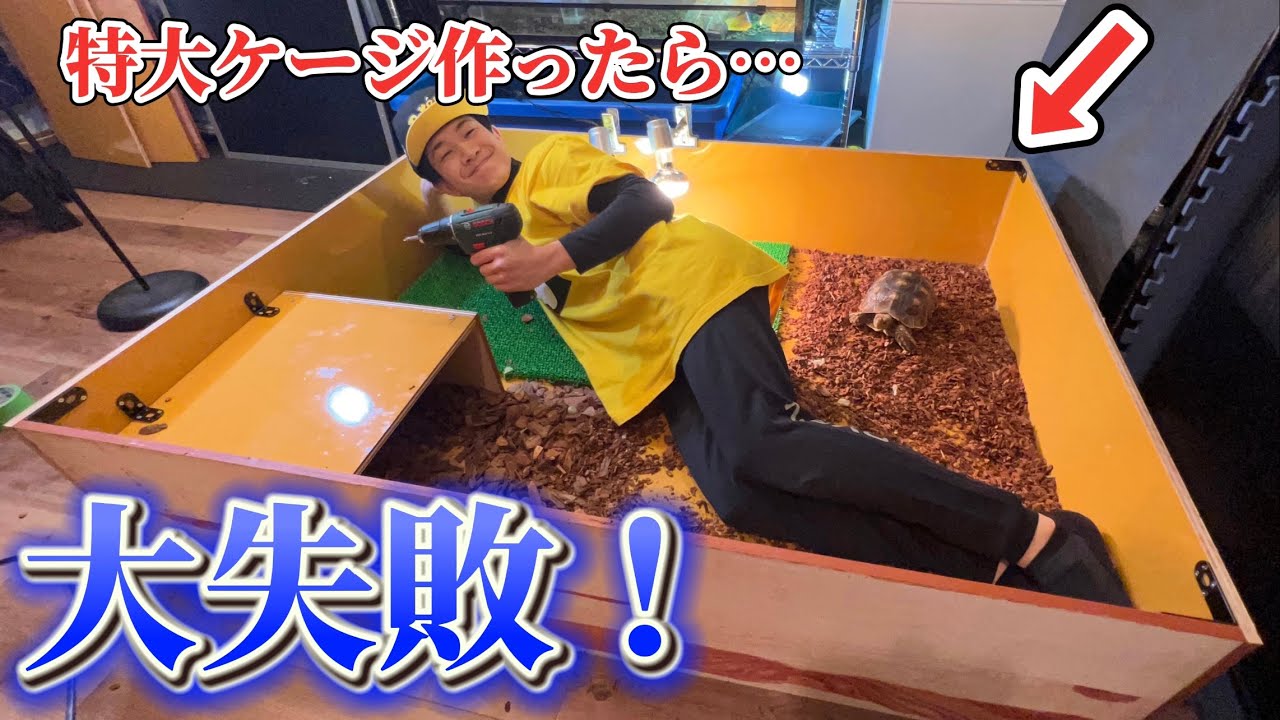 【困難】リクガメの巨大ケージを初めて作ったらトラブルだらけでした…