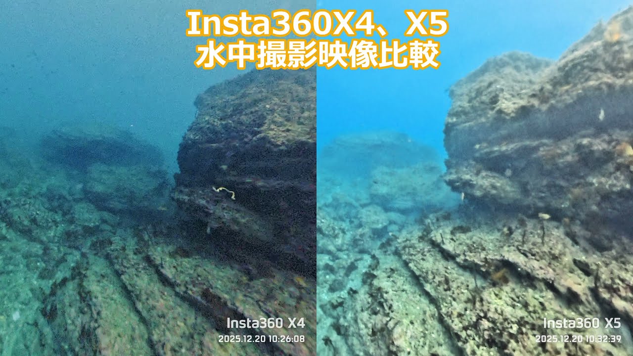 【水中撮影比較】Insta360 X4 / X5 どっちがキレイに撮れる？実際の海で検証