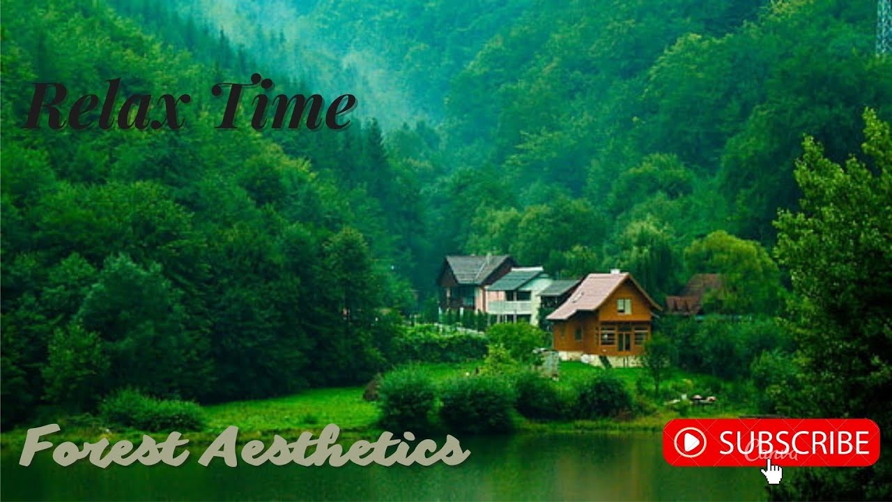 Atmosphere Relax House of Forest Aesthetics Birds Sing Beautifully