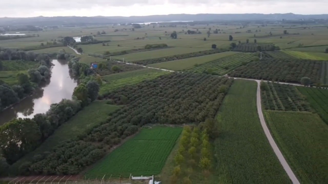 Sakarya Gölkent Tarım Arazileri Drone Çekim