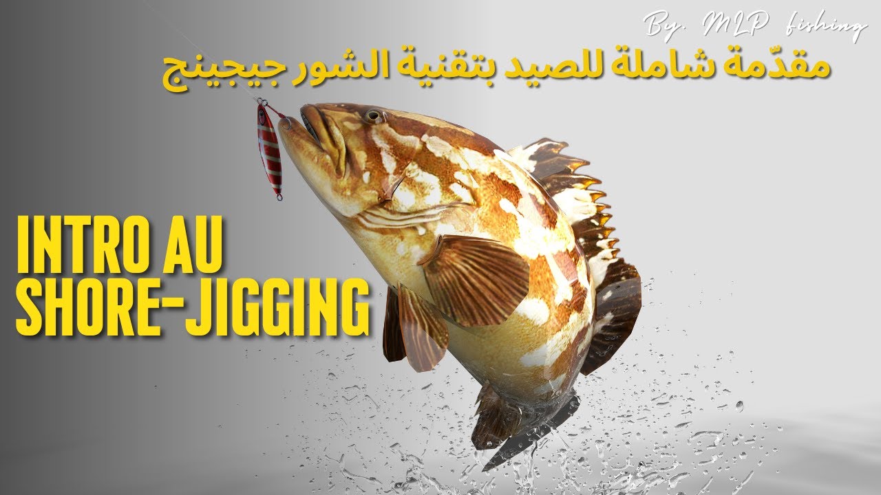 Introduction à la technique de pêche en Shore-Jigging - مقدّمة شاملة للصيد بتقنية الشور جيجينج