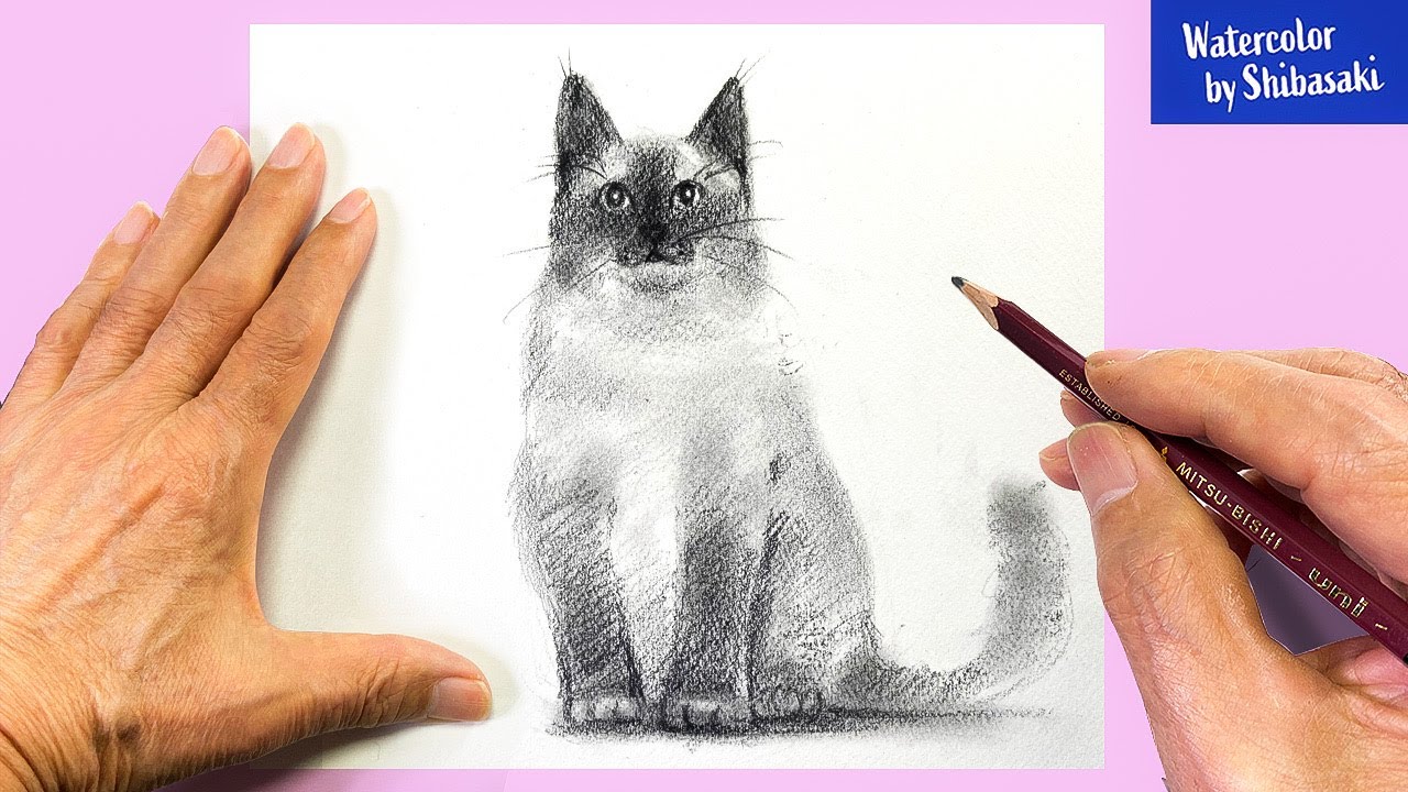 [Eng sub] How to draw a Cat - Easy Drawing | Step by Step with pencil sketch #StayHome #WithMe