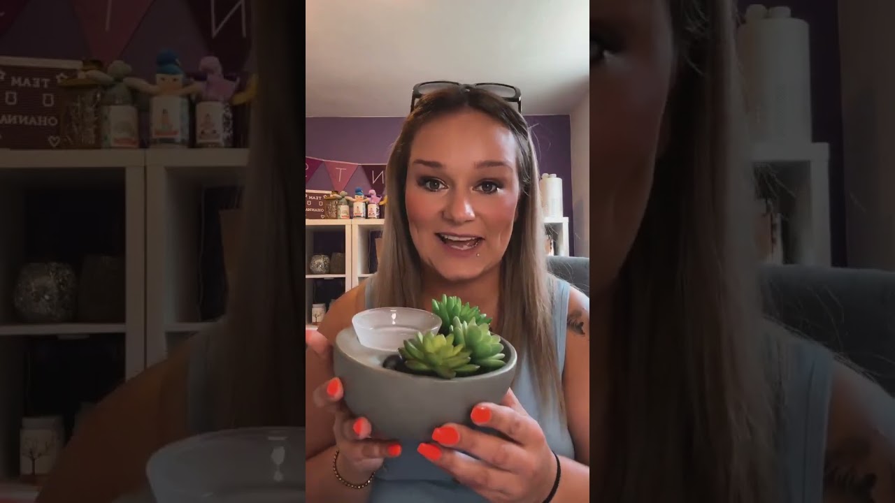 Scentsy Starterkit Juli 2023 | Scentsy Business | Scentsy Berater/in werden