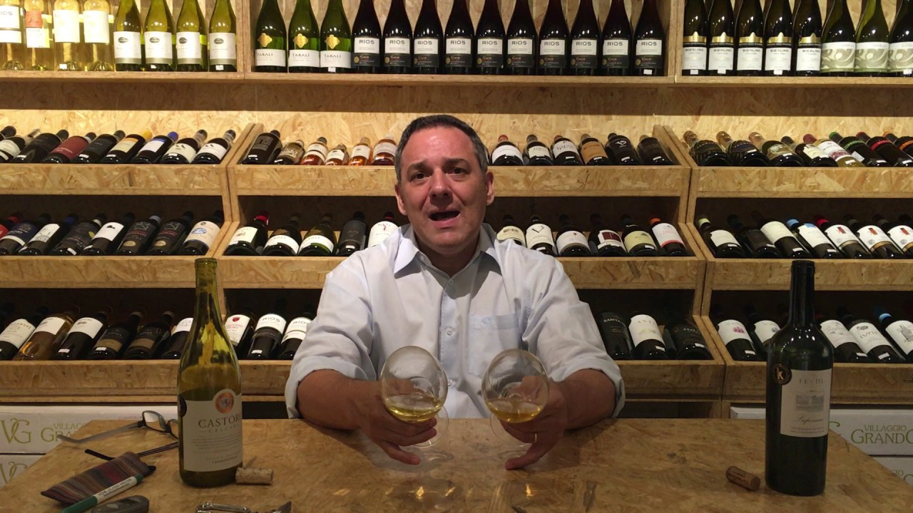 Chardonnay, a rainha das uvas brancas!