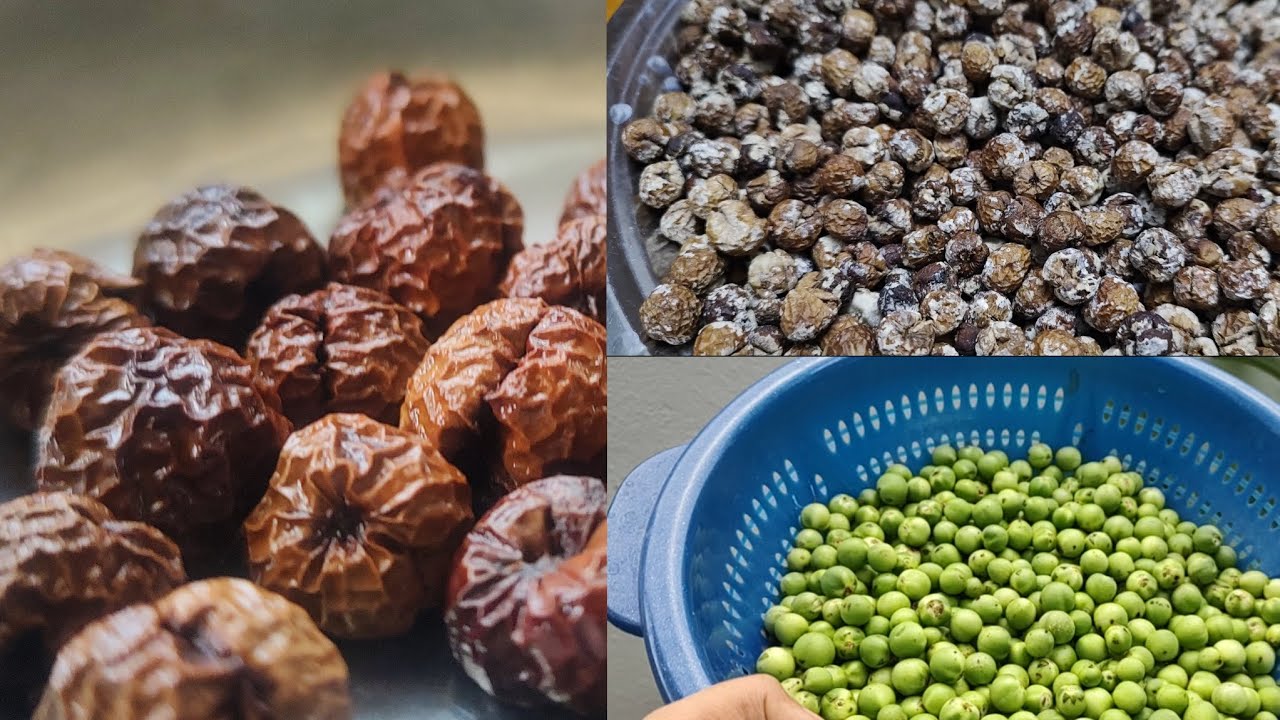 சுண்டைக்காய் வத்தல் செய்முறை/Sundakai Vathal/Sundakai Vathal Seivadhu Eppadi/#vathal/#healthyrecipe