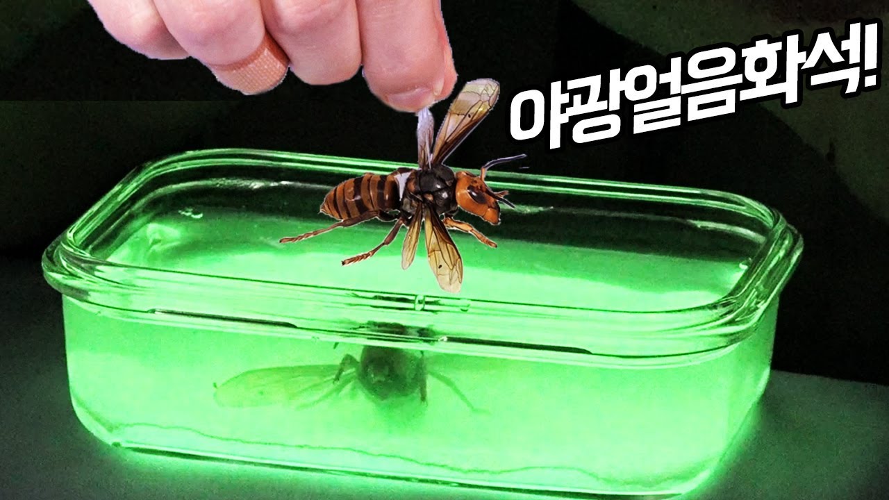 야광얼음화석 만들기!