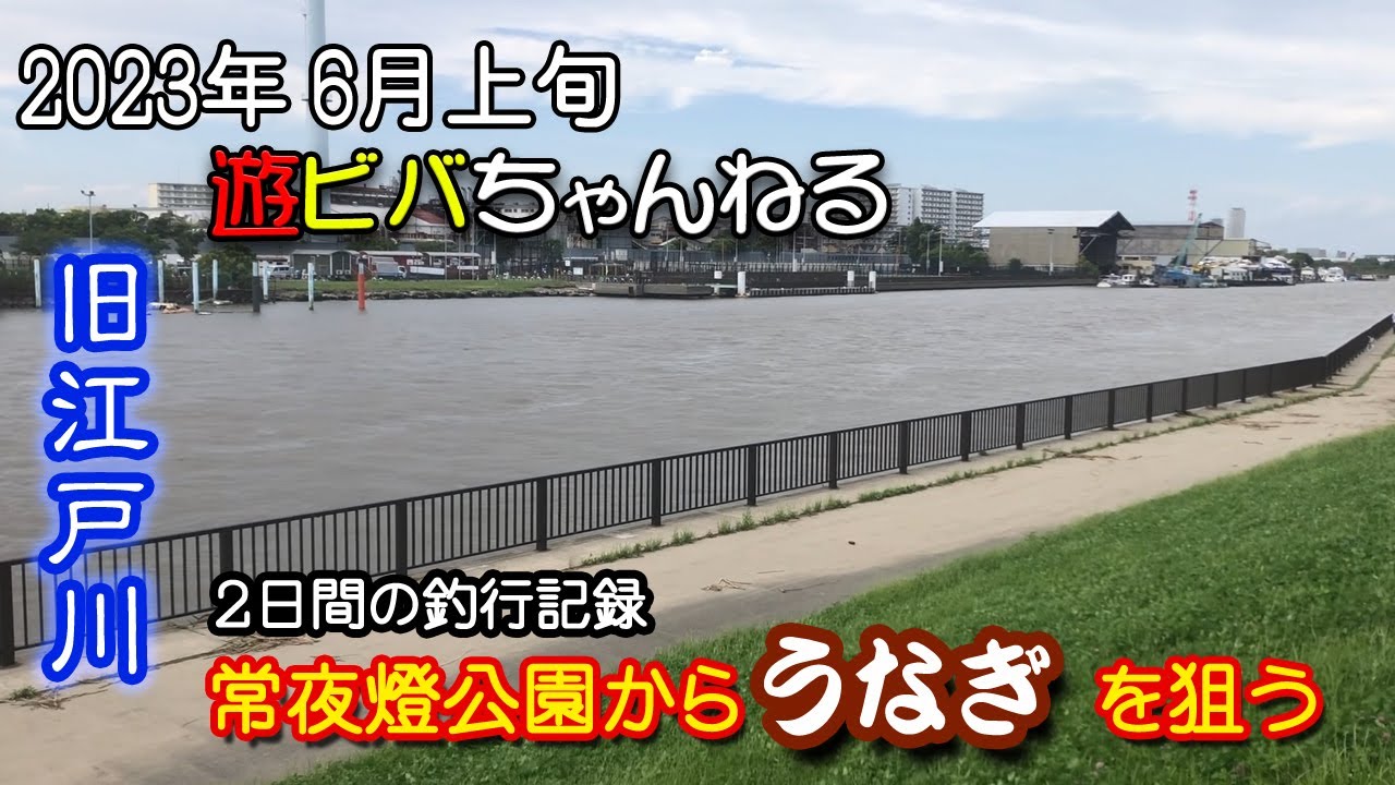 2023年6月上旬　増水した旧江戸川でうなぎを狙ってみる