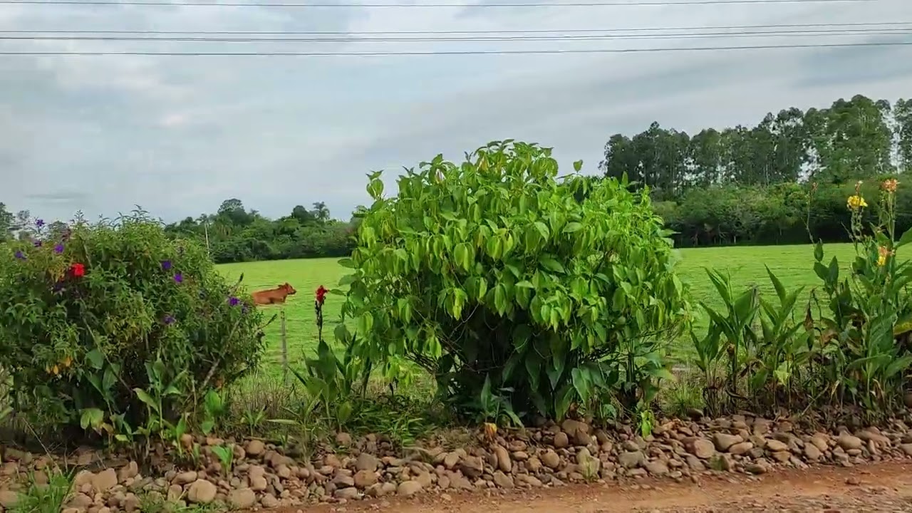 Dia Lindo no Rincão.