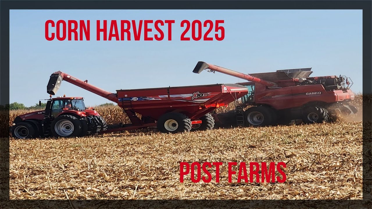 Corn Harvest 2025
