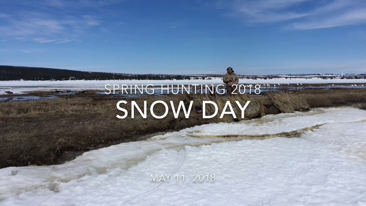 Spring Hunting 2018 - Snow Day