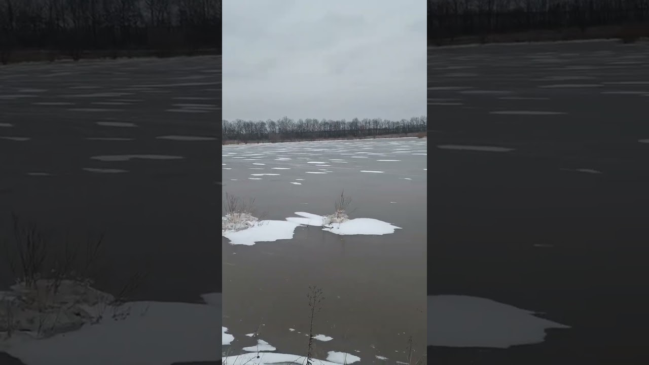 Ставок став повноводним,природа прагне відновлення  від людської жадібності.
