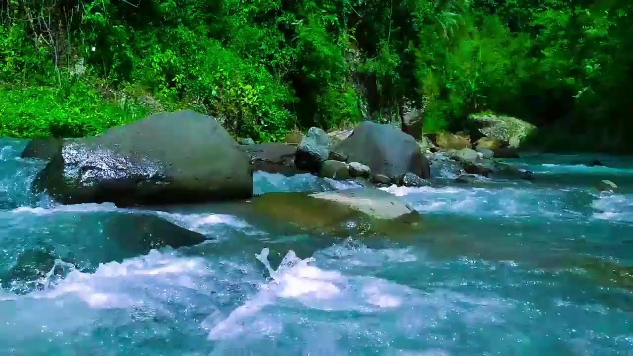 Gentle Stream in the Woods – Nature River Sounds for Relaxation