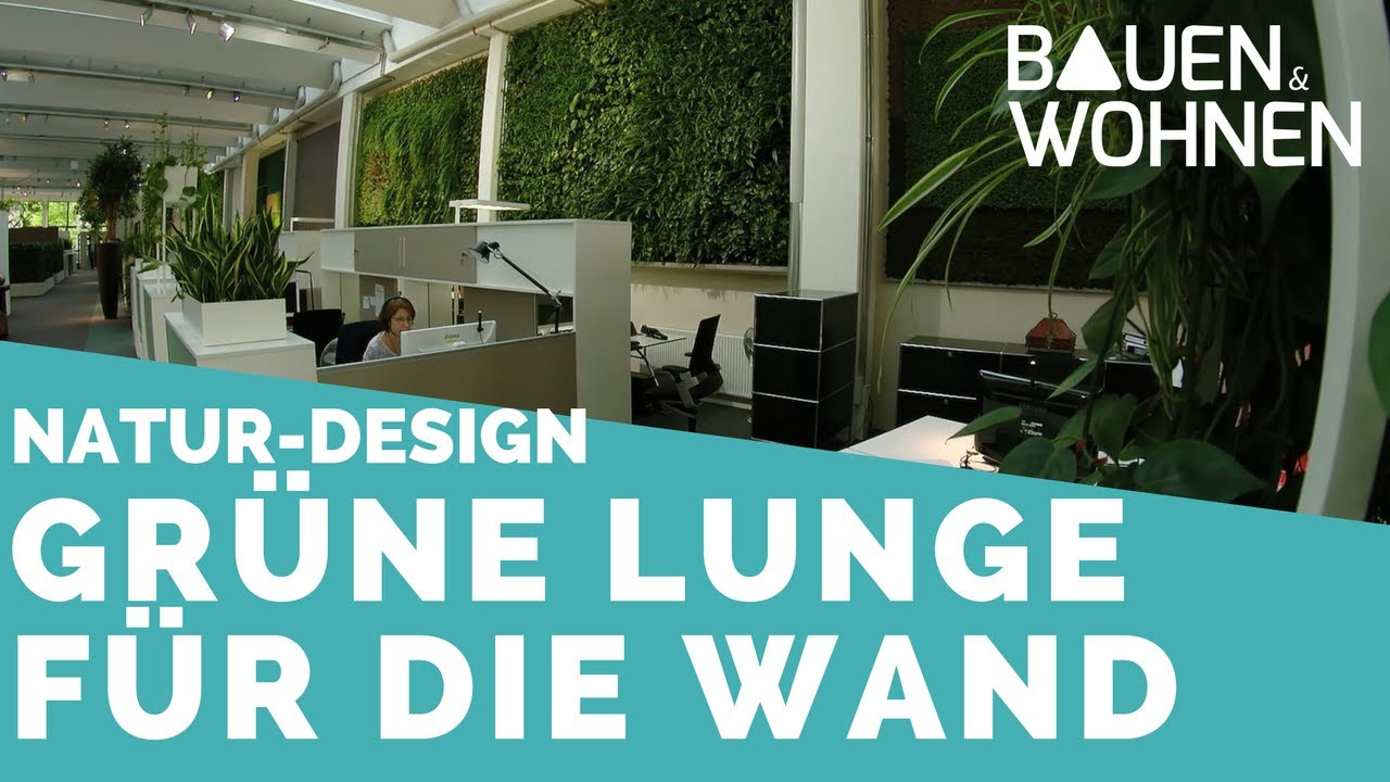 Begrünte Wände - Turbo für das Wohlfühlklima und gute Raumluft