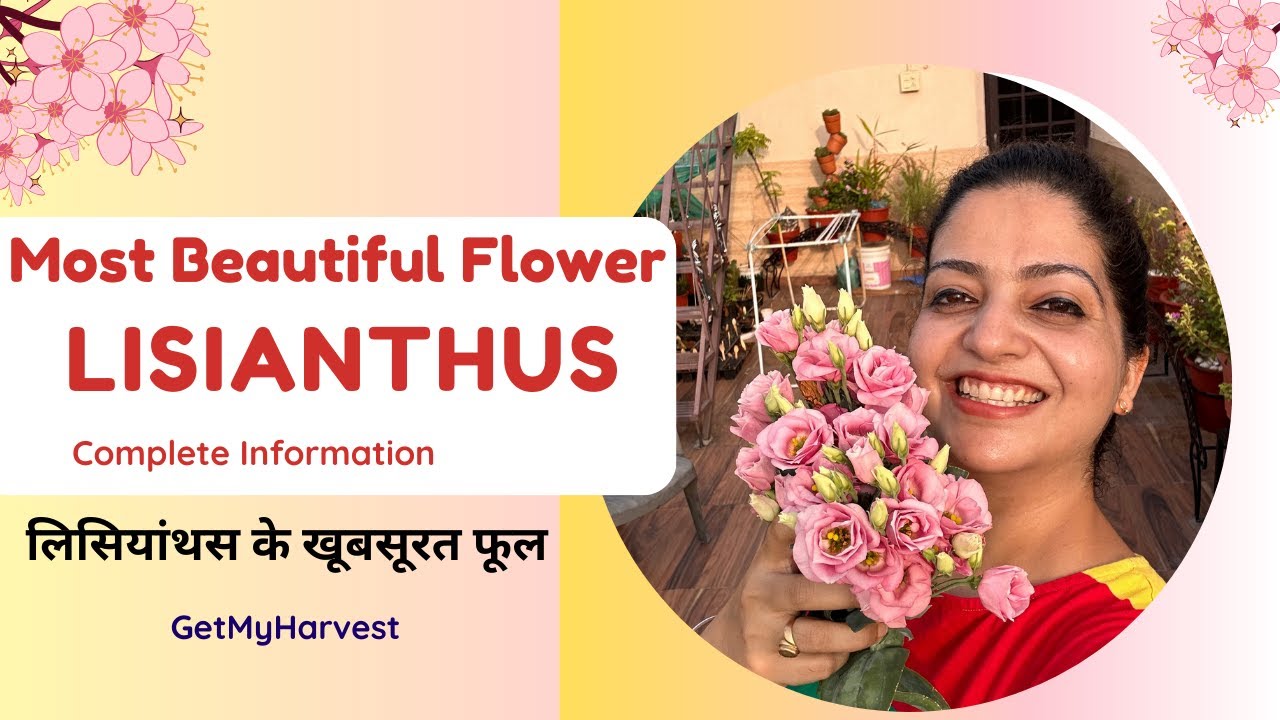 Lisianthus | Yeh Phool Amazing hai! | Complete Information #gardening