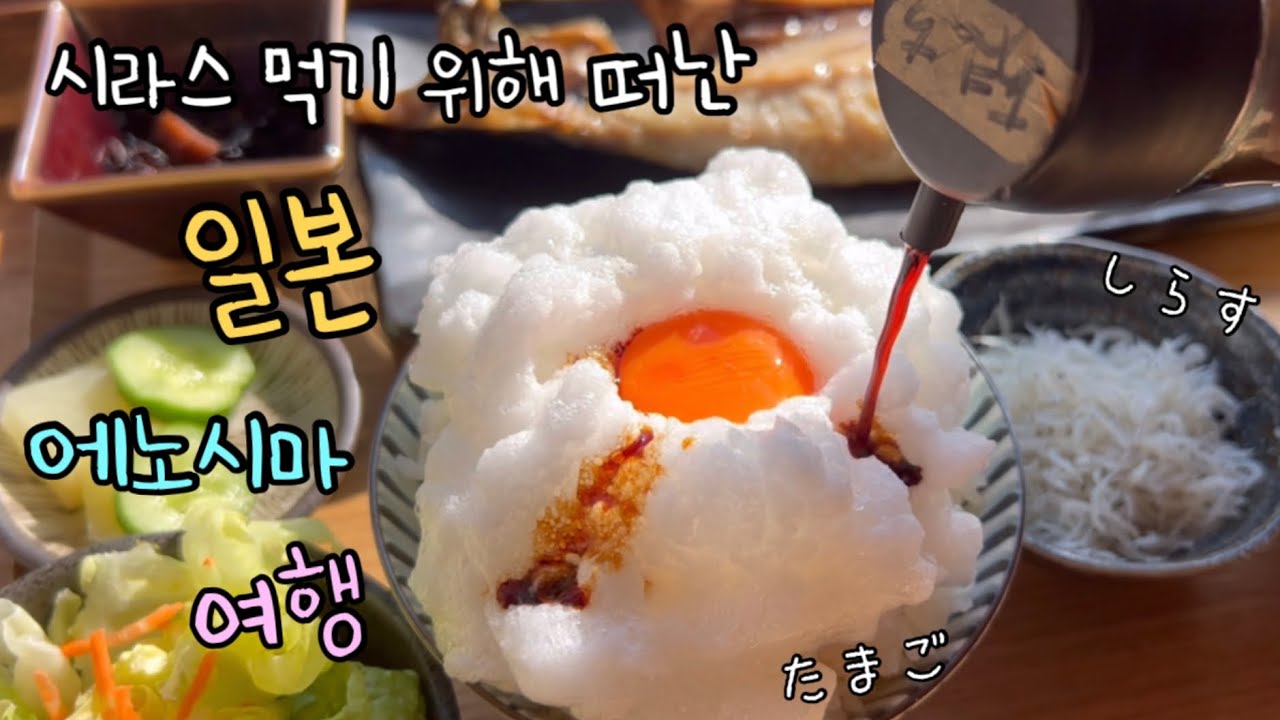 엄마들끼리 장보고, 요리하는 1박2일✨ 슬램덩크 성지 에노시마&가마쿠라 여행🚎