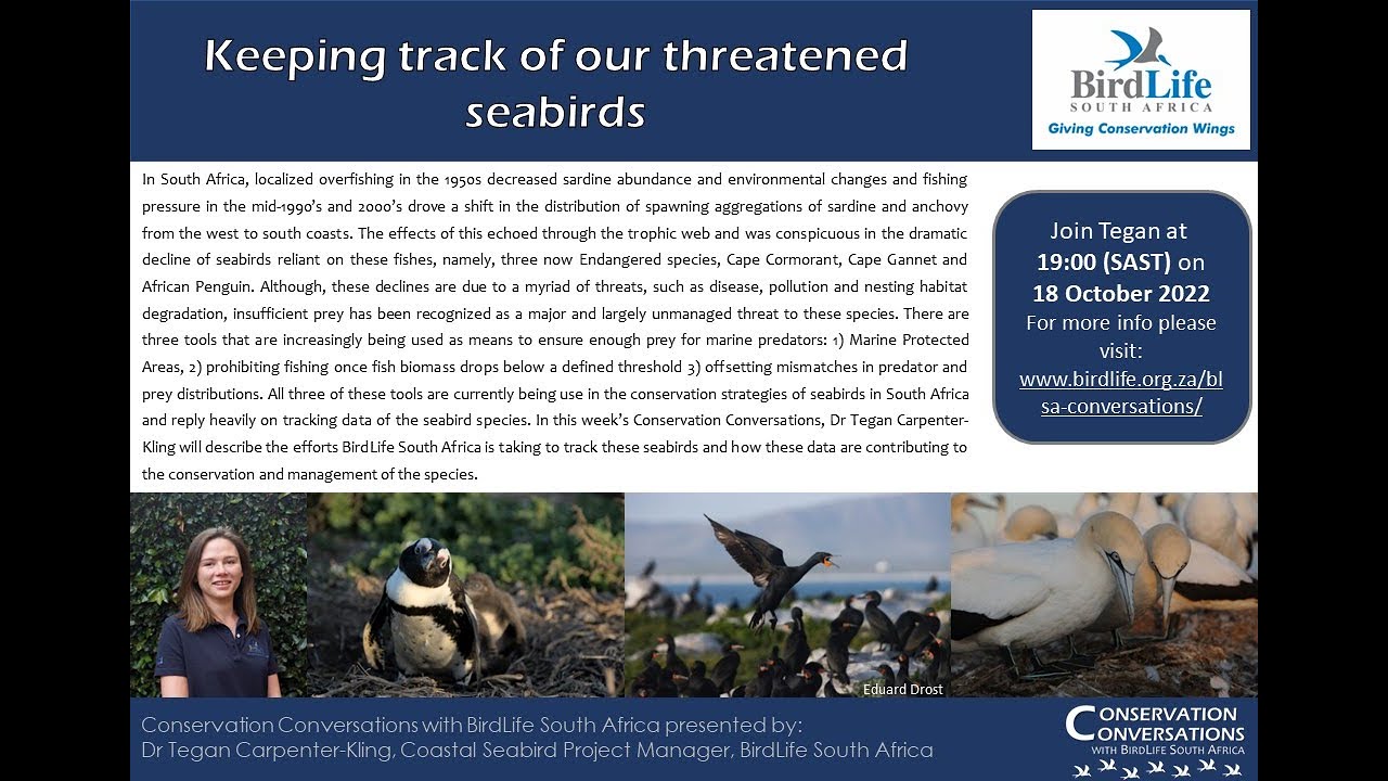 Conservation Conversations: Keeping track of threatened seabirds– Dr Tegan Carpenter-Kling (18Oct22)