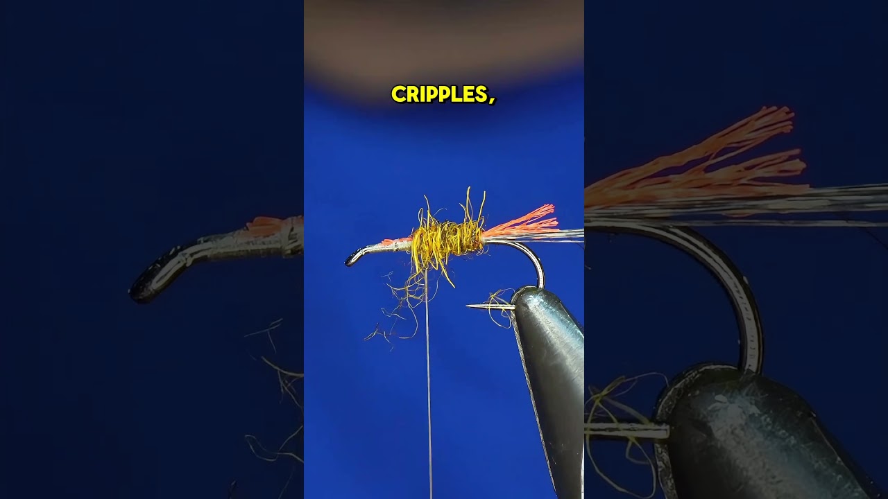 Искалеченная подёнка