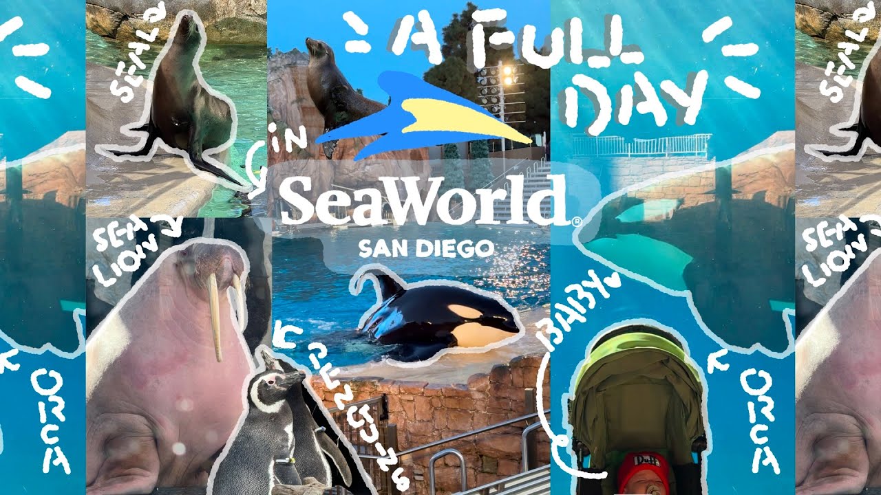 FIRST SEAWORLD IN THE WORLD! - ORCA ENCOUNTER, DOZER THE SEA LION, BEST FROZEN CUSTARD BY RITA’S