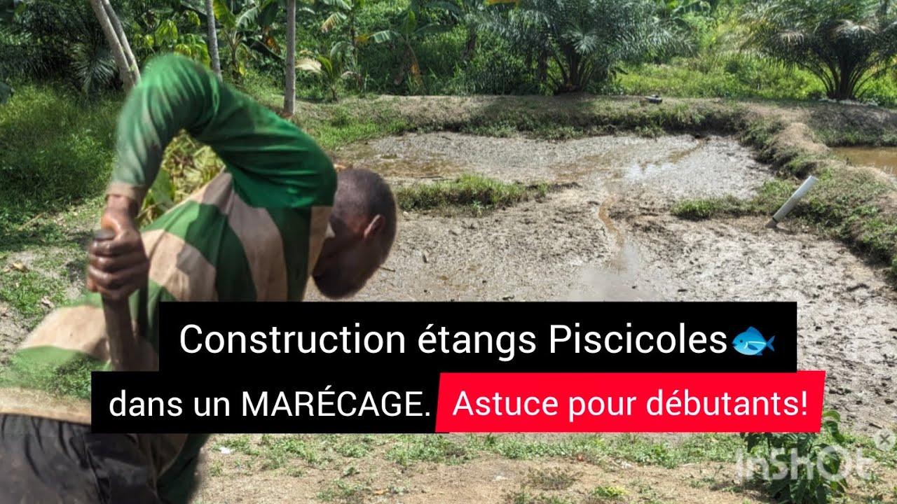 🐟[𝗘𝘁𝗮𝗻𝗴 PISCICOLE ] • 𝗖𝗼𝗻𝘀𝘁𝗿𝘂𝗰𝘁𝗶𝗼𝗻 𝗱𝗮𝗻𝘀 𝘂𝗻 𝗺𝗮𝗿𝗲́𝗰𝗮𝗴𝗲 | 𝗖𝗼𝗺𝗺𝗲𝗻𝘁 𝘀'𝘆 𝗽𝗿𝗲𝗻𝗱𝗿𝗲? 𝗔𝘀𝘁𝘂𝗰𝗲 𝗽𝗼𝘂𝗿 𝗱𝗲́𝗯𝘂𝘁𝗮𝗻𝘁𝘀.