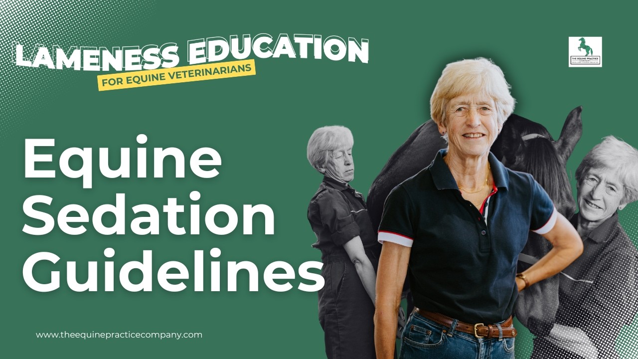 Equine Sedation Guidelines: When and Why to Use It