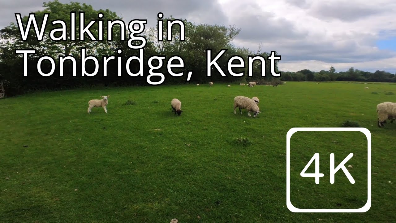 🌿 Relaxing Walk Through the Fields of Tonbridge, Kent