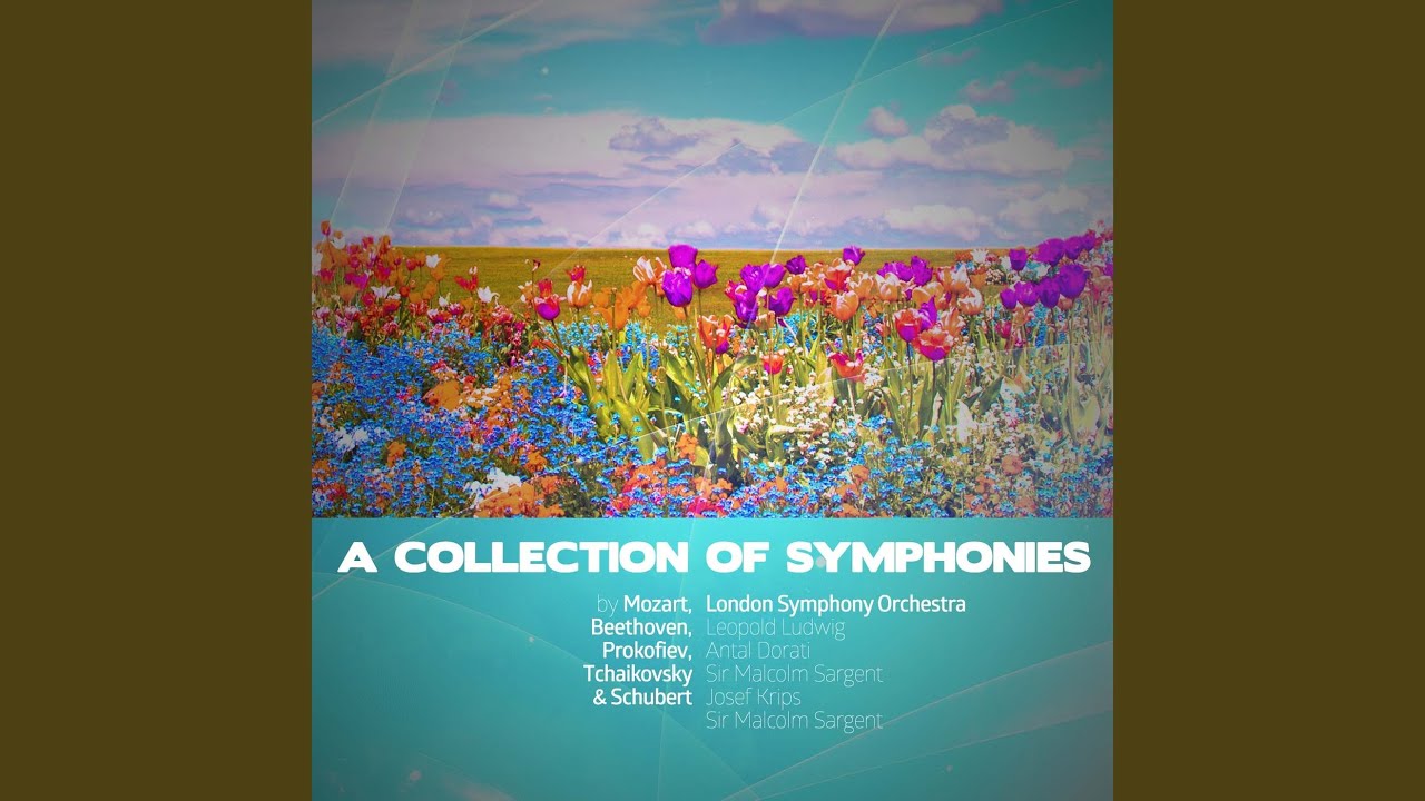 Symphony No. 40 in G Minor, K. 550: II. Andante