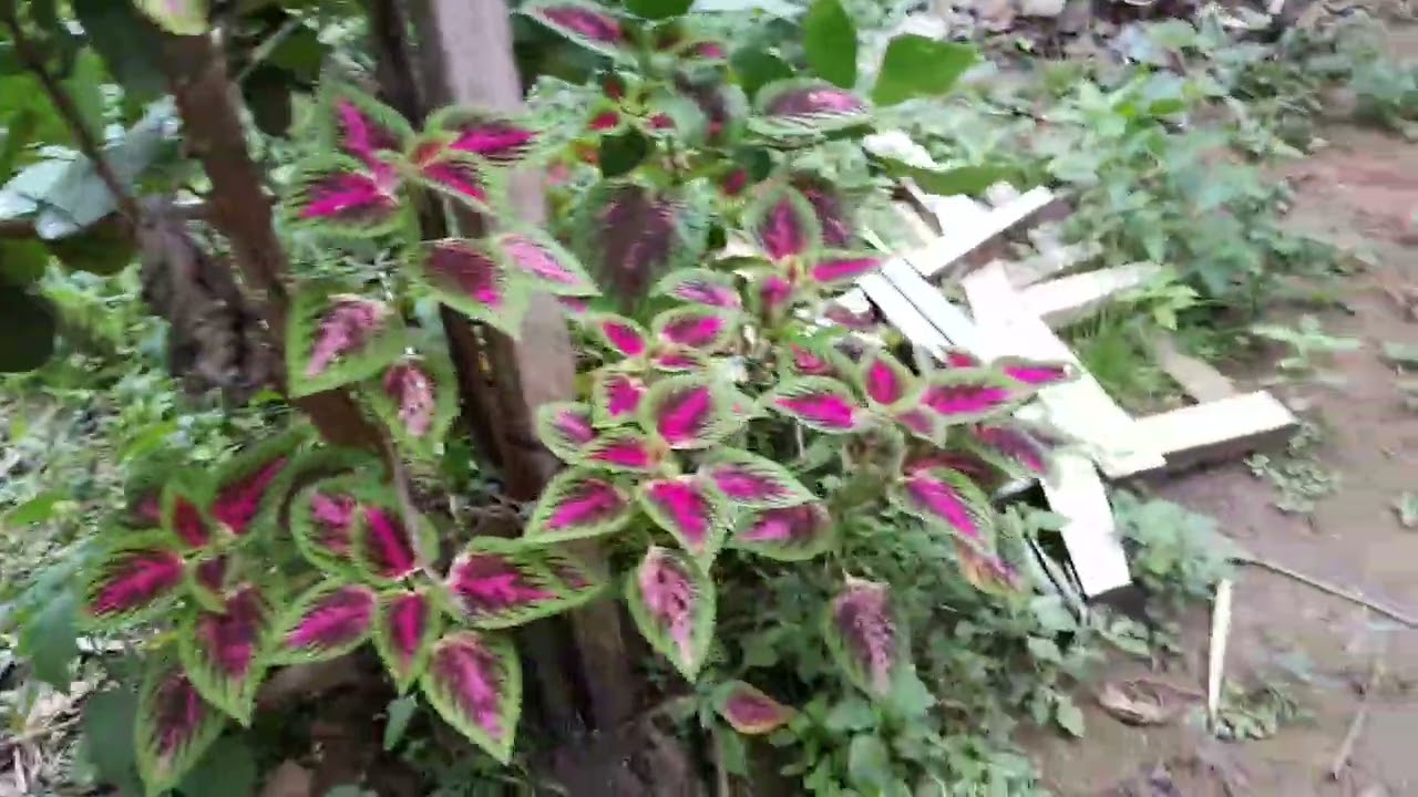 Bora arrumar um pouco da mudança por aqui. 