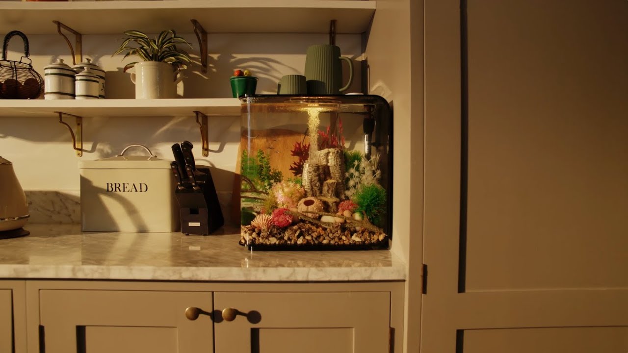 biOrb FLOW ⎸ Aquarium Product Overview